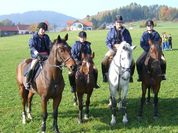 Was für Pferdefreunde :-) - 