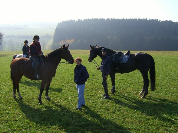 Was für Pferdefreunde :-) - 