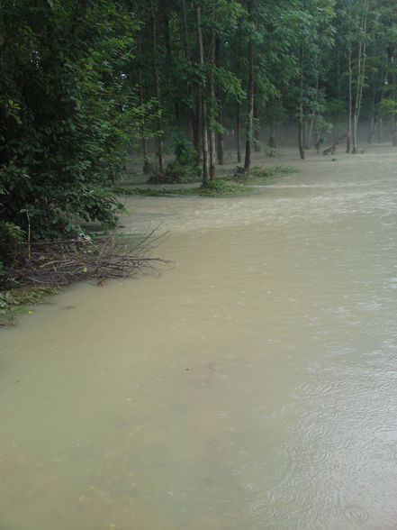 hochwasser 2009 - 