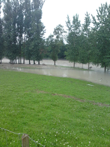 hochwasser 2009 - 