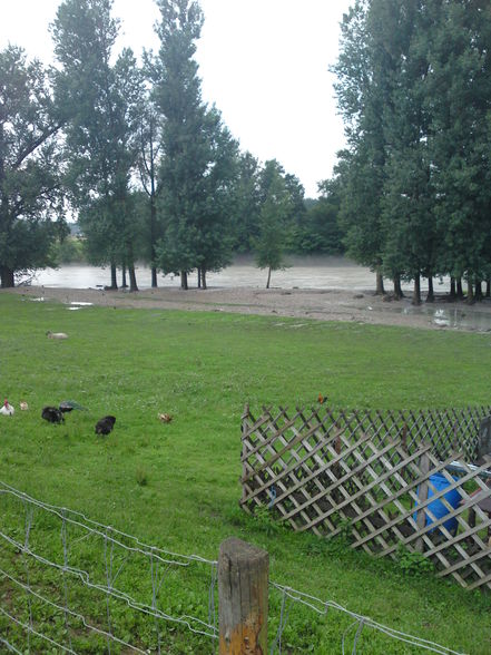 hochwasser 2009 - 