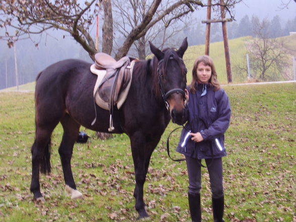 Mein Pferdchen und meine Tiere - 