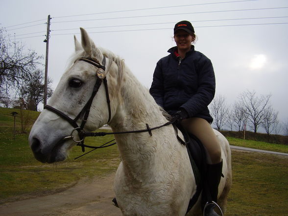 Mein Pferdchen und meine Tiere - 