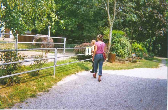 tierpark - 