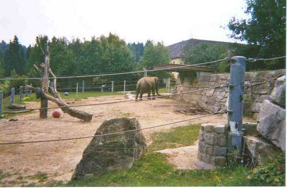 tierpark - 