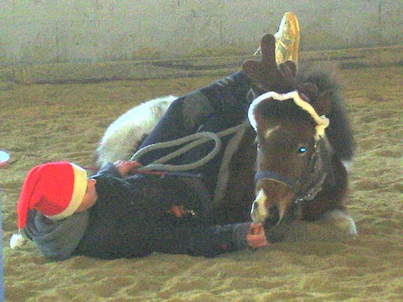 weihnachtsreiten im oiden reitstoi!!! - 