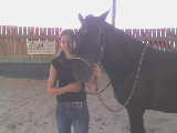 Destiny&Tessi&other Horses - 