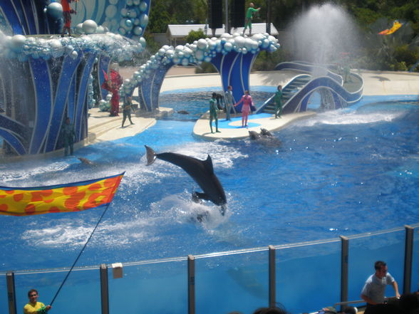 SEA WORLD - 