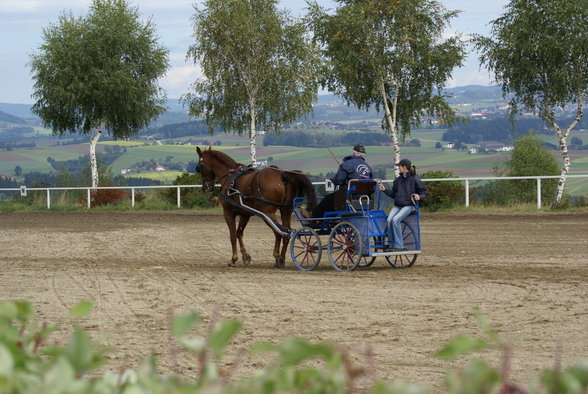  Vereinsmeisterschaft reiten und fahren - 