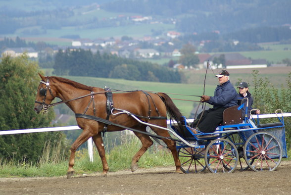  Vereinsmeisterschaft reiten und fahren - 