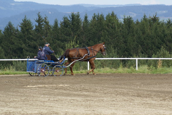  Vereinsmeisterschaft reiten und fahren - 