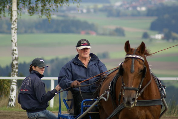  Vereinsmeisterschaft reiten und fahren - 