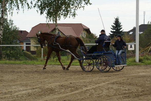  Vereinsmeisterschaft reiten und fahren - 