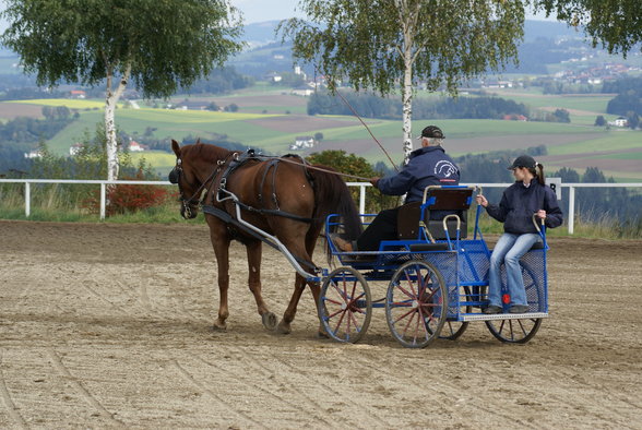  Vereinsmeisterschaft reiten und fahren - 