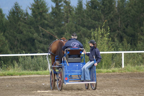  Vereinsmeisterschaft reiten und fahren - 