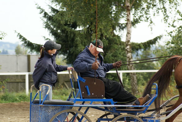  Vereinsmeisterschaft reiten und fahren - 