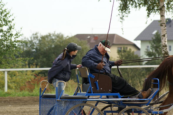  Vereinsmeisterschaft reiten und fahren - 