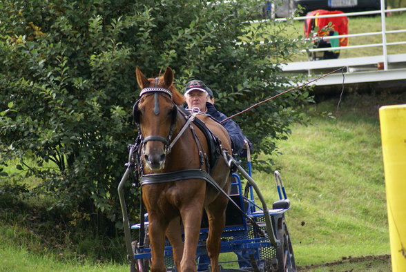  Vereinsmeisterschaft reiten und fahren - 