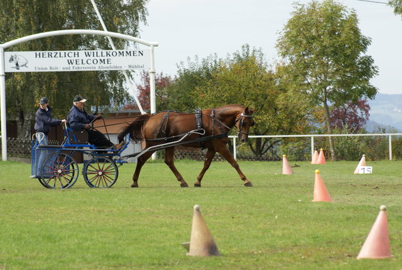  Vereinsmeisterschaft reiten und fahren - 