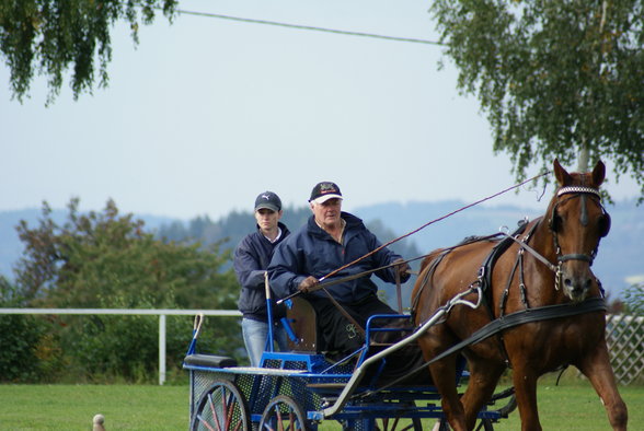  Vereinsmeisterschaft reiten und fahren - 