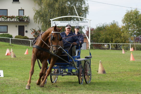  Vereinsmeisterschaft reiten und fahren - 