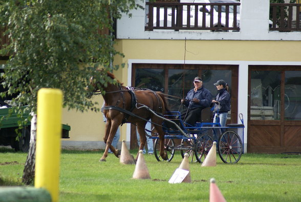  Vereinsmeisterschaft reiten und fahren - 