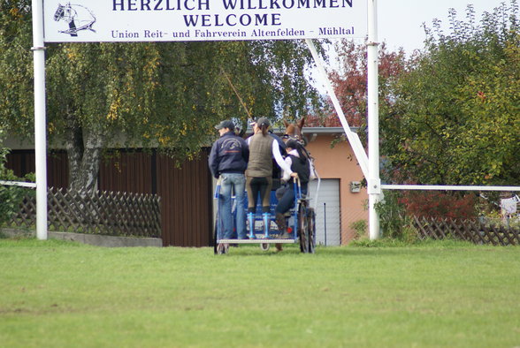  Vereinsmeisterschaft reiten und fahren - 