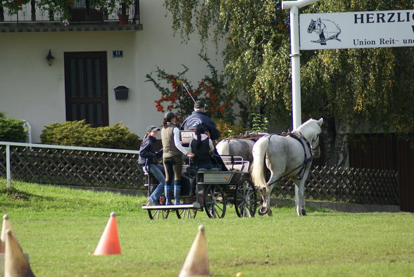  Vereinsmeisterschaft reiten und fahren - 