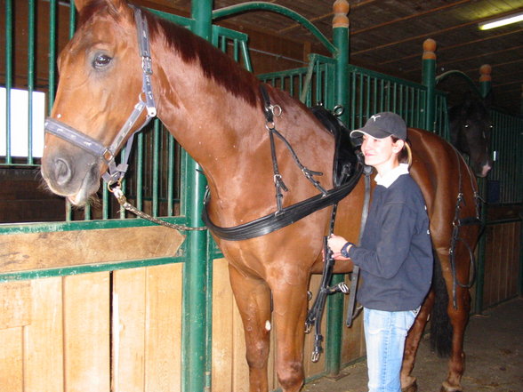  Vereinsmeisterschaft reiten und fahren - 