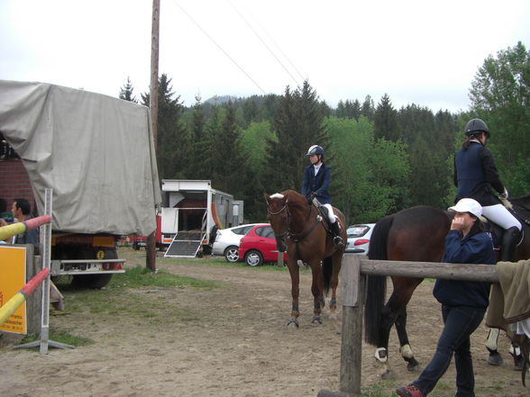 Turniere 2008 - 