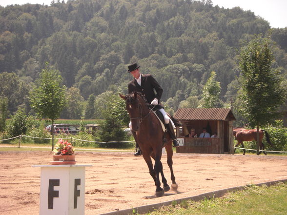 Turniere 2008 - 