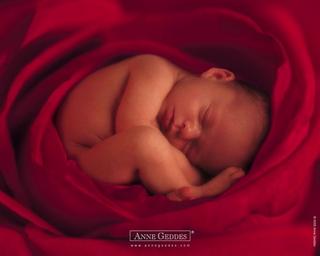 Anne Geddes - 