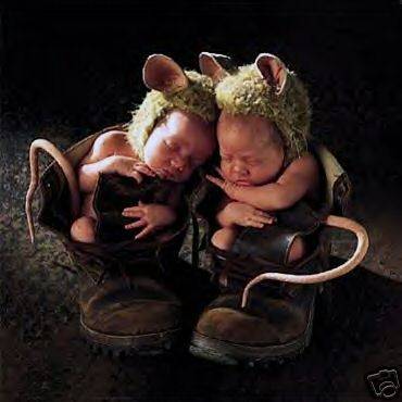 Anne Geddes - 