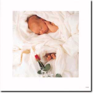 Anne Geddes - 