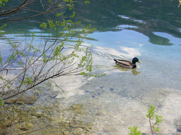 Radtour Ebensee - Offensee - 