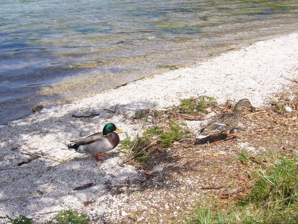 Radtour Ebensee - Offensee - 