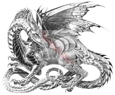 Alle meine Drachen ... - 
