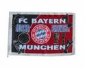 Fc.Bayern the Best - 