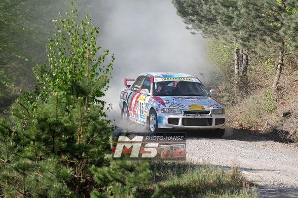 Triestingtal-Rallye 2009 - 