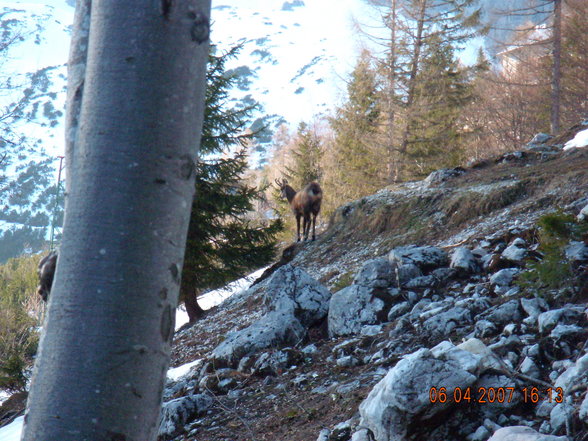 Bergsteigen am gr. Priel - 