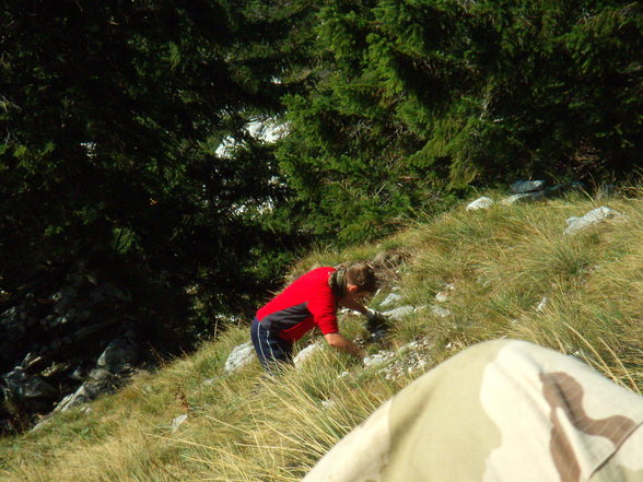 Bergsteigen am Traunstein! - 