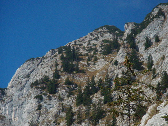 Bergsteigen am Traunstein! - 