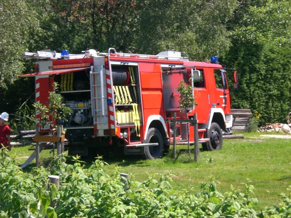 FF-Vorchdorf - 