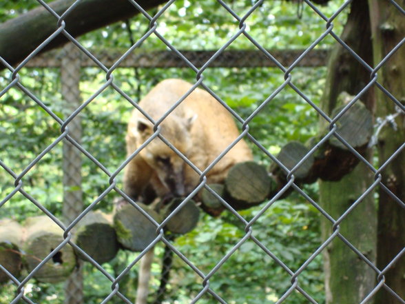 TiErPaRk HaAg - 