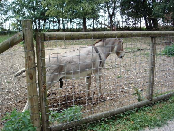 TiErPaRk HaAg - 