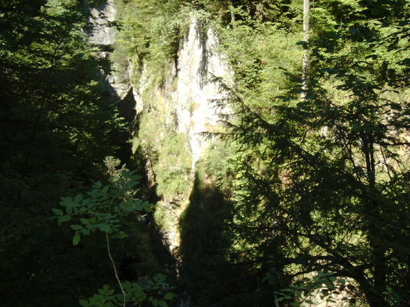 Wandern in der Rappenlochschlucht! - 