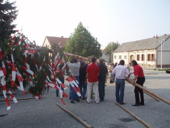 Maibaum aufstellen - 