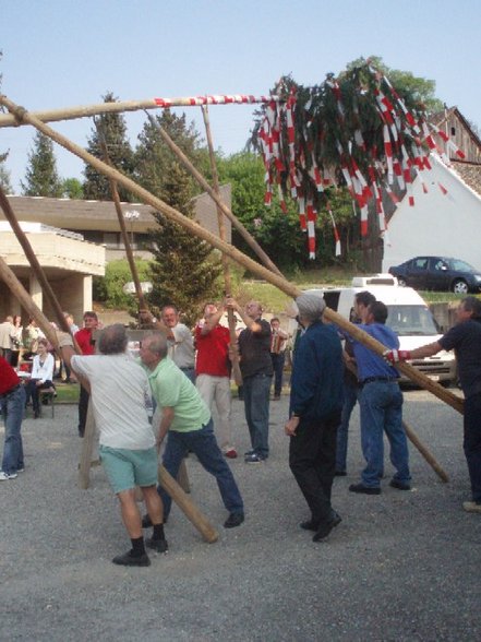 Maibaum aufstellen - 