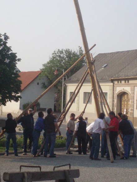 Maibaum aufstellen - 