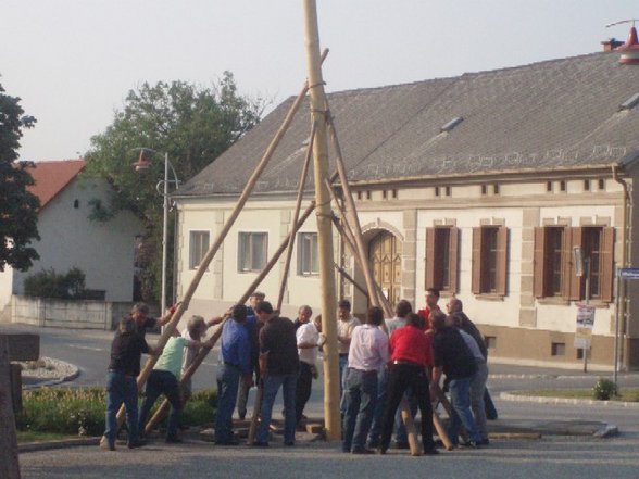 Maibaum aufstellen - 